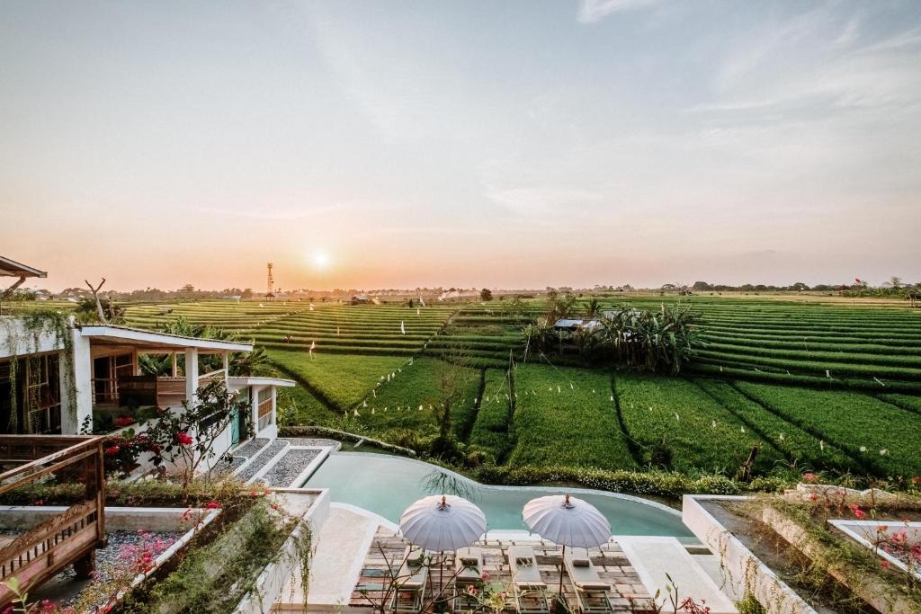 Babakan Hotel | BoHo Canggu