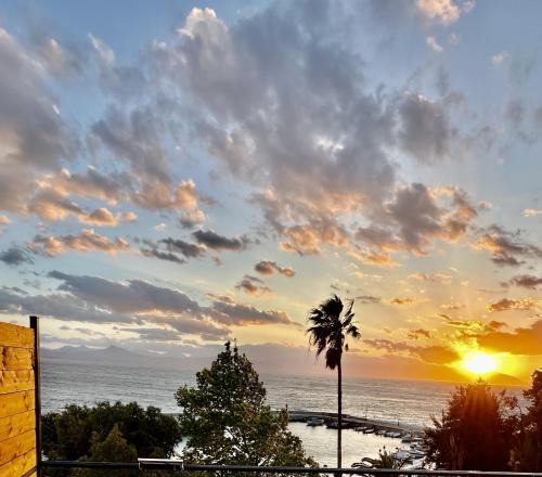 Loutraki-Agioi Theodoroi Hotel | Hotel Akti