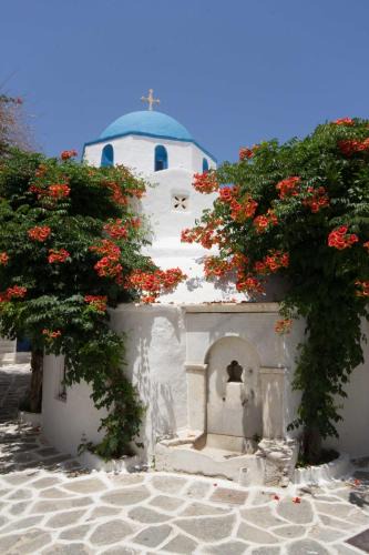 Parikia Hotel | Hotel Dina