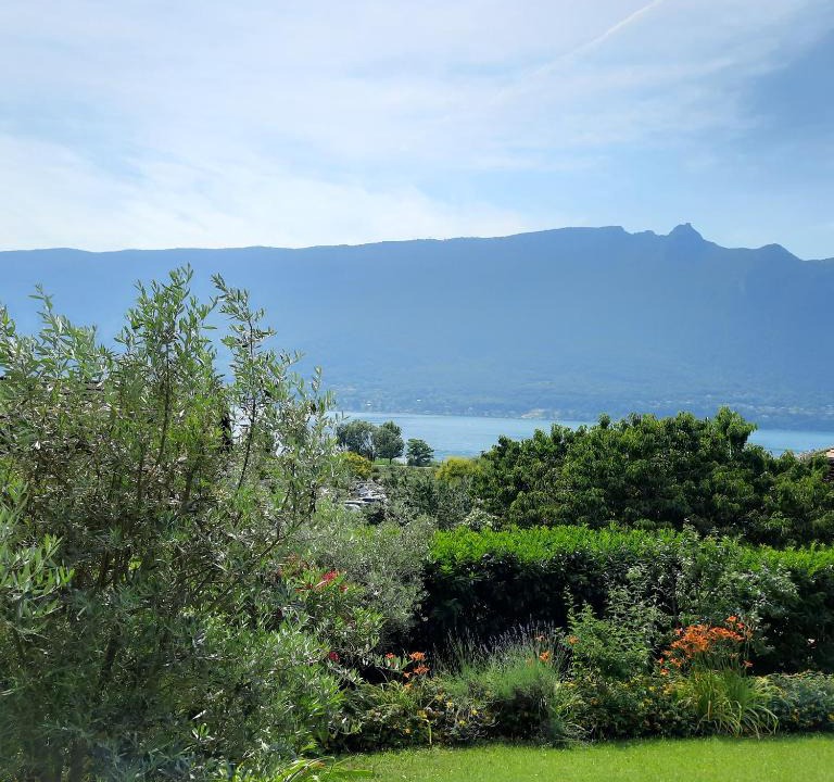 Tresserve Apartment | Le Lac
