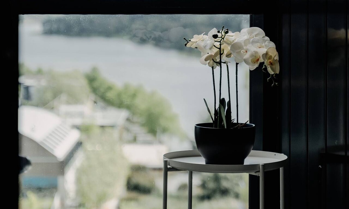 Belconnen Apartment | Modern Convenient 2-BR with Lakeside View