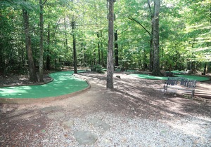 Commodious Shenandoah Crossing, 2 Bedroom Resort Cabin