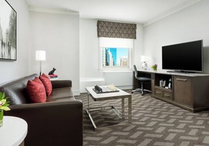 Spacious Downtown Room Close to Public Transports | Pets Are Allowed