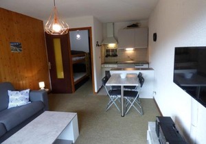 Studio confortable 25m² pour 4 personnes au Chinaillon - FR-1-458-113
