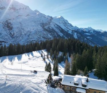 Ormont-Dessus Hotel | Auberge Restaurant du Lac Retaud