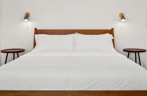 North Downtown Hotel | Boutique Room steps from Downtown Mall Rose Jean Room 2