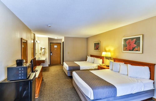 Wisconsin Dells Hotel | Comfortable Hotel Room @ Polynesian Hotel