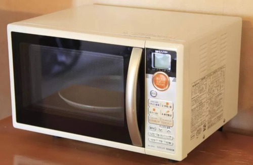 Fuji Hotel | Double Cross Remodeling Stay without meals Pri/Fuji Shizuoka