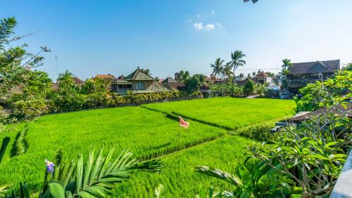 Kutuh Kaja Hotel | Gayatri Retreat Ubud