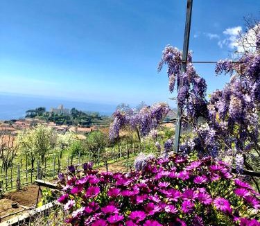 San Lazzaro Apartment | La Casa Dei Nonni