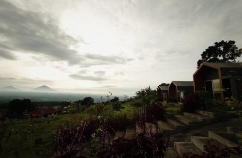 Candikuning Hotel | Mesari Hill Glamping