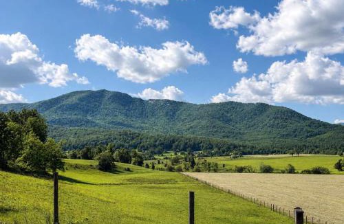 Etlan House | Old Rag A-Frame: Mountain Views Hot Tub Fire Pit