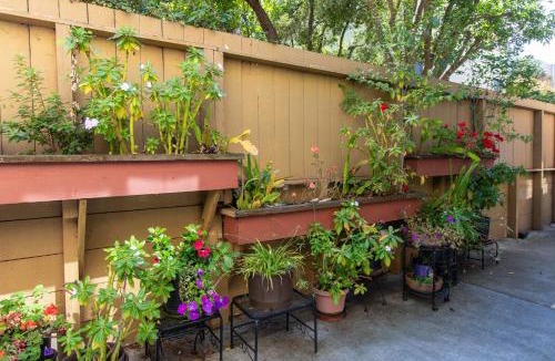 Cow Hollow Hotel | Pacific Heights Inn