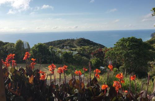 New Lynn House | Piha Tiny House