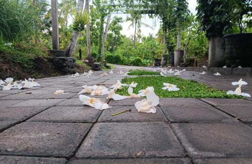 Mendoyo Hotel | Pondok bluepo