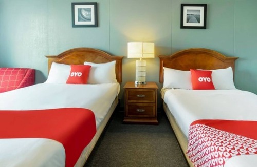 Jennings Hotel | Practical King Room Great for Pet Owners Close to Jennings Dining