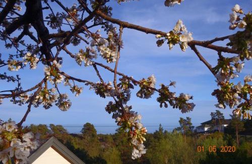 Risor Bed & Breakfast | Risør Bed & Breakfast, Randvik Strand