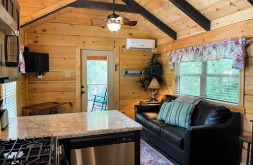 Talisheek Cabin | Secluded cozy tiny cabin on the water with fire pit and private dock