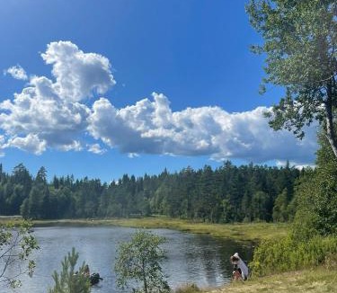 Siljan Municipality Hostel | Skogsro Forest Hostel