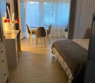 Saillon Apartment | Studio 4pers aux Bains de Saillon