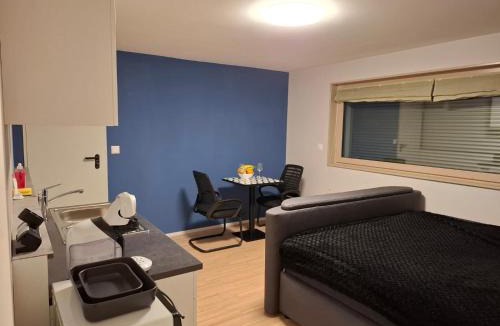 Les Paccots Apartment | Studio avec sauna privé