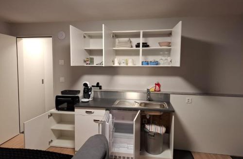 Les Paccots Apartment | Studio avec sauna privé