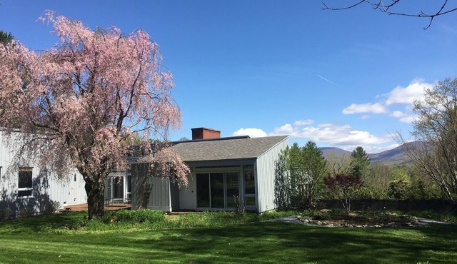 11 acre mid-century estate, newly renovated, seasonally available pool.