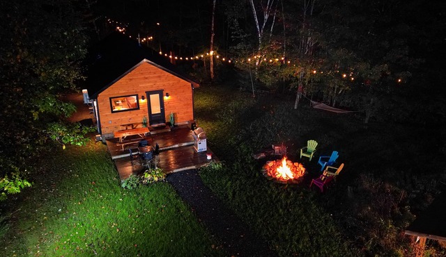 Bala Vida Cabin - Steps to Lake Muskoka w/pond, fire pit & cedar barrel sauna ✌🏼