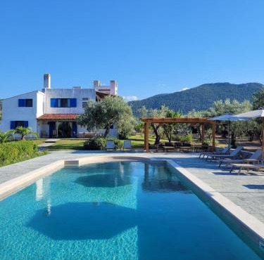 Beachfront cottage house in olive grove