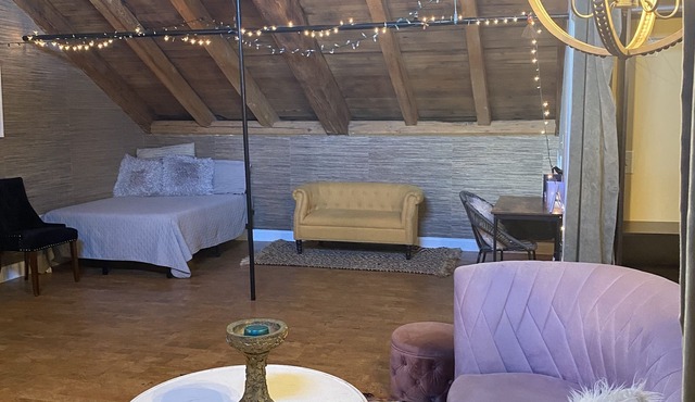 Beautiful Spacious Loft Style Townhome, 10 mins from train station and airport!