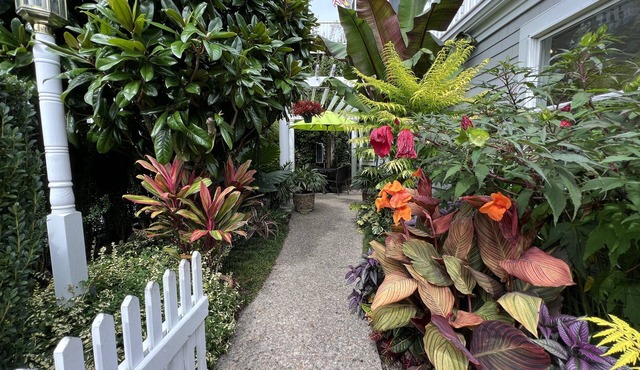 Best Patio on Commercial-Tropical Garden-Prime Location