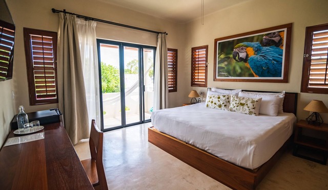 Blue Palm Bacalar