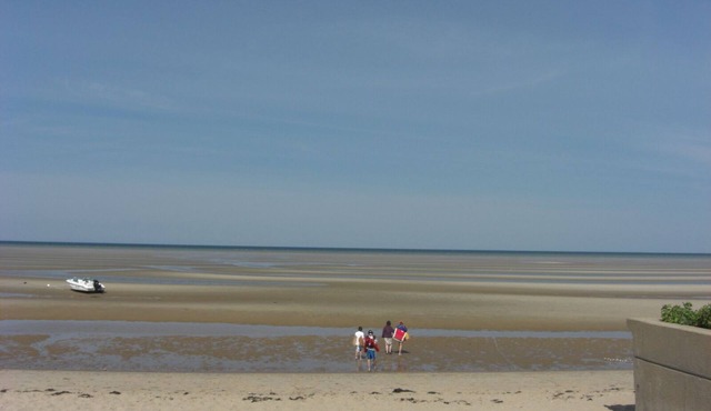 Cape Cod Great Pond Nature Lover's House Rental in Eastham