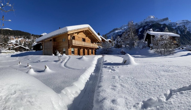 Chalet Vicky and Nino nice new apartment