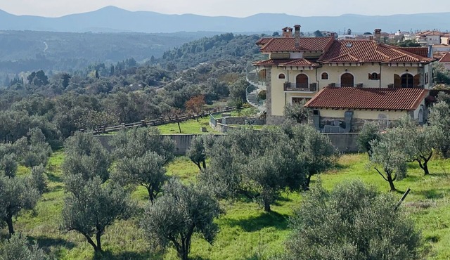 Experience Evia, Greece - Six bedroom country home with Optional cooking classes