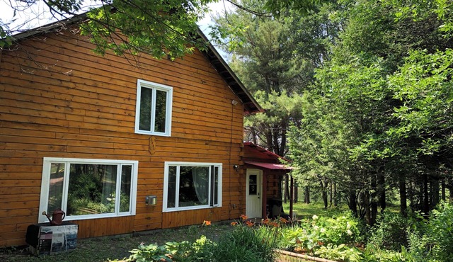 Extra-large 4,000 sq ft woodland retreat with authentic Wood-fired Sauna