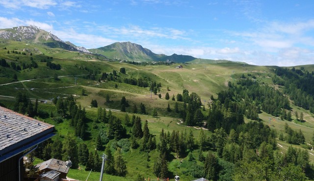 Fantastic summer alpine apartment, 2,5 minutes walk to village - sleeps 8