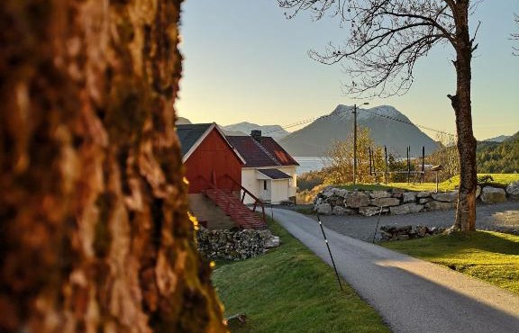 Fjords view