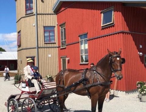 Flyingehus Gårdshotell