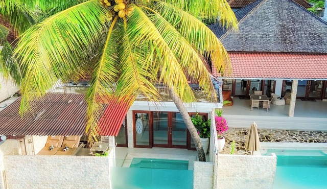 Infinity Pool Oceanfront Luxe Villa Cowrie