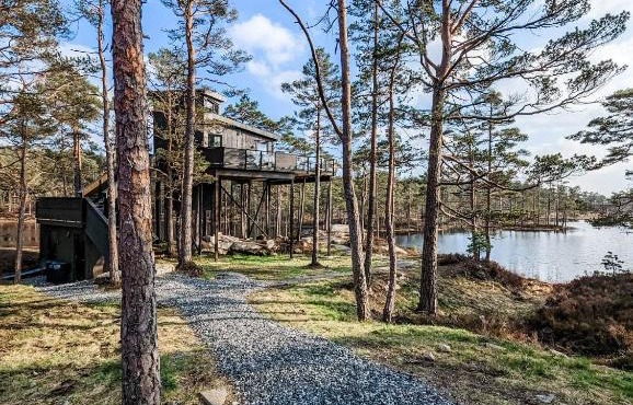 Iveland Tree Top Panorama - Furukrona