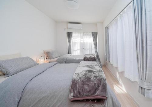 Kasai Light Luxury Hotel 201