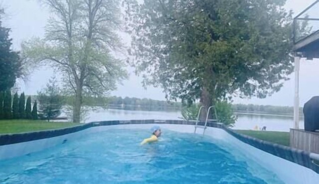 lakefront nature lodge room pet friendly #9