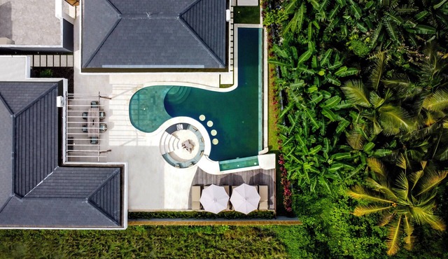 Modern 3-bedroom villa with pool between rice paddies and jungle