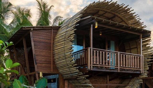 Panoramic views of rice field Bee House Ubud