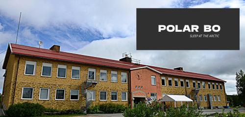 Polar Bo