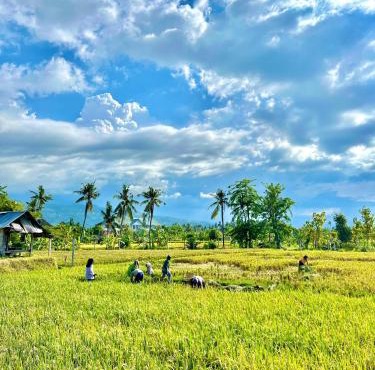 Rumi Bumi Lovina - A Home For Unhurried Days