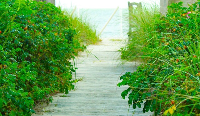 Sea Shell Motel