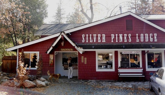 Silver Pines Lodge