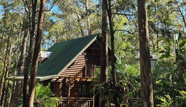 Smiths Treehouse - a gorgeous cedar built cottage in tranquil bush setting